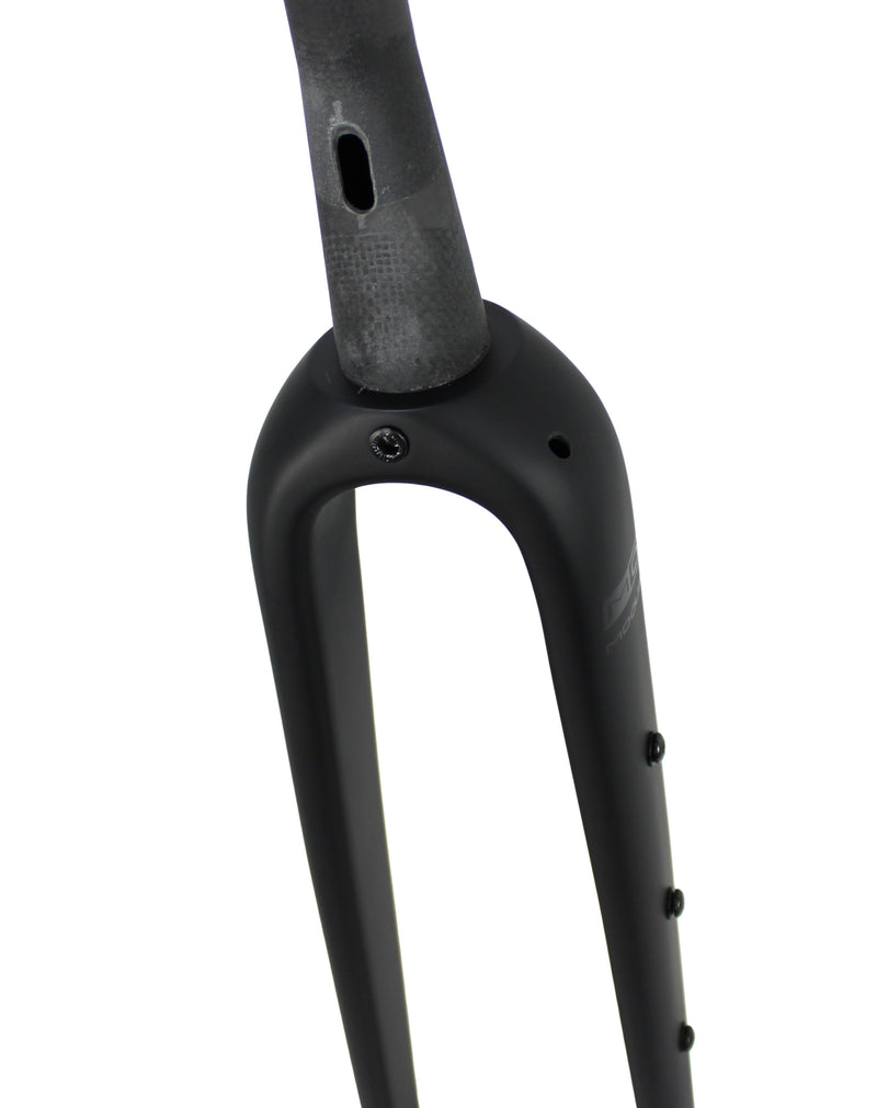 MOQUAI Gravel/Randoneur Carbon Gabel für externe Kabelführung inkl. 12mm Steckachse